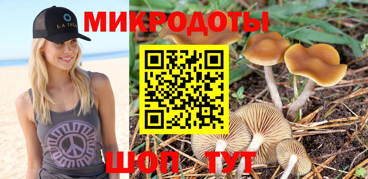 Вышний Волочёк  Галлюциногенные грибы MAGIC MUSHROOMS  Вход с VPN 