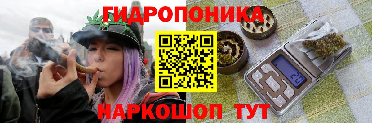 Шишки марихуана AK-47 Вышний Волочёк